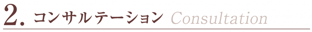 コンサルテーション